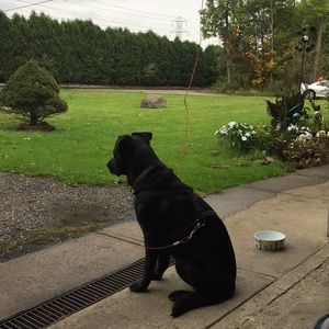 Meet your Posher, Holly